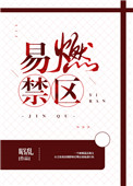 《易燃禁区》封面