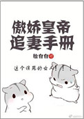 《傲娇皇帝追妻手册》封面
