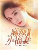 《重回九零麻辣小福妻》封面