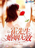 《霍先生婚姻无效》封面