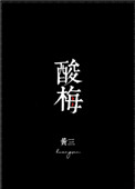 《酸梅》封面