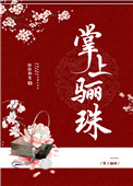 《掌上骊珠》封面