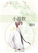 《小温软》封面