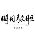 《明目张胆》封面