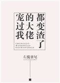 《宠过我的大佬都变渣了》封面