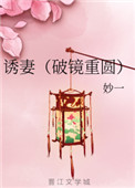 《诱妻（破镜重圆）》封面