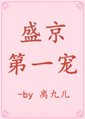 《盛京第一宠》封面