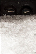 《见雪深（洒家）》封面