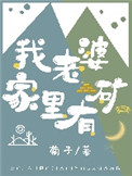 《我老婆家里有矿》封面