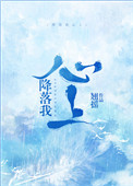 《降落我心上》封面
