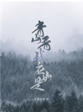 《青山看我应如是》封面