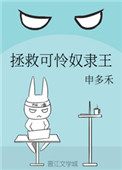 《拯救可怜奴隶王》封面