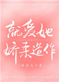 《就爱她娇柔造作》封面