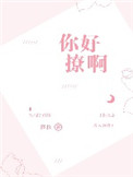 《你好撩啊》封面