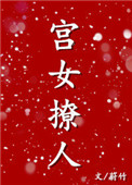 《和亲之宫女撩人》封面