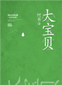 《大宝贝》封面