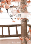 《眉心钿》封面