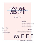 《意外》封面