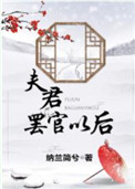 《夫君罢官以后》封面