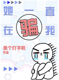 《她一直在骗我》封面