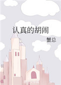 《认真的胡闹》封面
