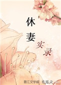 《休妻实录》封面