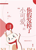 《小可爱，你假发掉了》封面