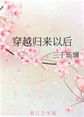 《穿越归来以后》封面