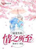 《陆先生的情之所至》封面