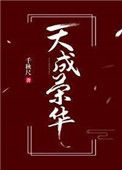 《天成荣华》封面