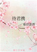 《待君携》封面
