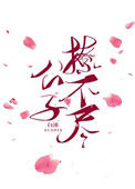 《公子撩不尽》封面