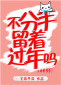 《不分手留着过年吗》封面