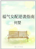 《福气女配逆袭指南》封面