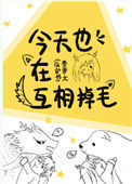 《今天也在互相掉毛》封面