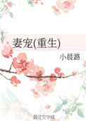 《妻宠(重生)》封面