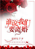 《谁说我们要离婚》封面