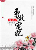 《穿越之争做宠妃》封面