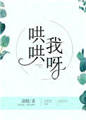 《哄哄我呀》封面