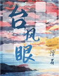 《台风眼》封面
