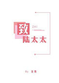 《致陆太太》封面