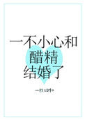 《一不小心和醋精结婚了》封面