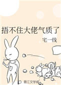 《捂不住大佬气质了》封面