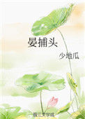 《晏捕头》封面