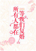 《所有人都在等我们复婚》封面