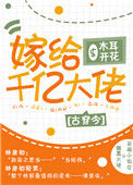 《嫁给千亿大佬[古穿今]》封面