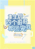 《重生后四个哥哥都团宠我》封面