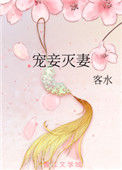 《宠妾灭妻》封面