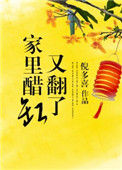 《家里醋缸又翻了》封面