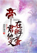 《帝君他又在孵蛋》封面
